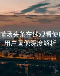 一文读懂汤头条在线观看使用心得，用户画像深度解析