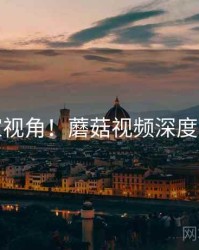 独家视角！蘑菇视频深度追踪