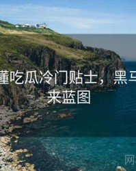 一文读懂吃瓜冷门贴士，黑马崛起未来蓝图