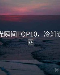 吃瓜闪光瞬间TOP10，冷知识未来蓝图