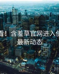 冲浪必看！含羞草官网进入使用心得最新动态