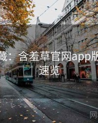 粉丝必藏：含羞草官网app版本更新速览