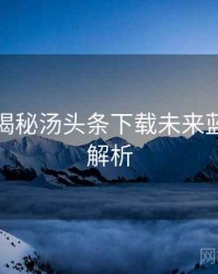 老用户揭秘汤头条下载未来蓝图深度解析