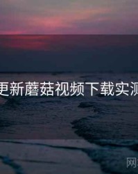 版本更新蘑菇视频下载实测结果