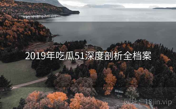 2019年吃瓜51深度剖析全档案